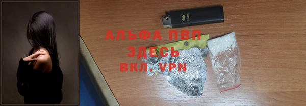 спиды Бородино