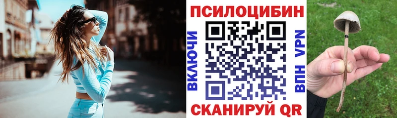darknet как зайти  магазин  наркотиков  mega зеркало  Глазов  Псилоцибиновые грибы Magic Shrooms 